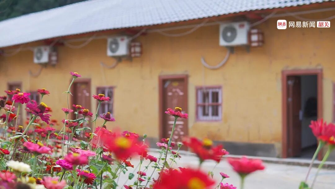 南雄赏银杏游玩攻略，看这一条就够了！(图42)