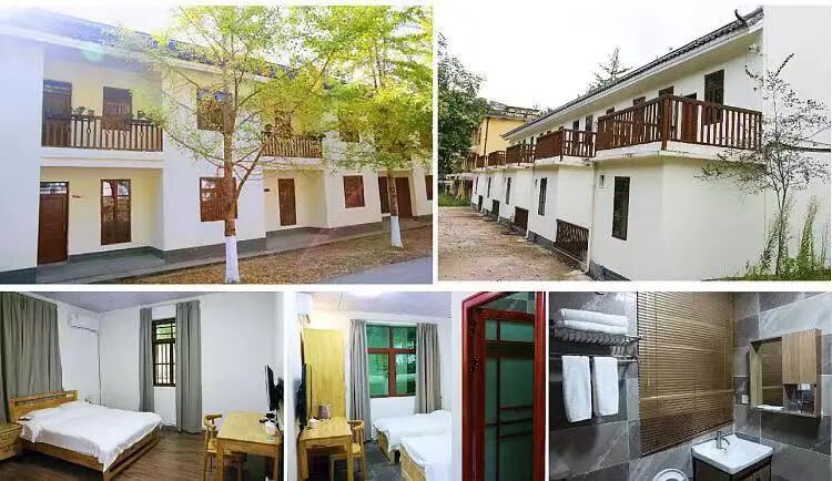 南雄赏银杏游玩攻略，看这一条就够了！(图32)