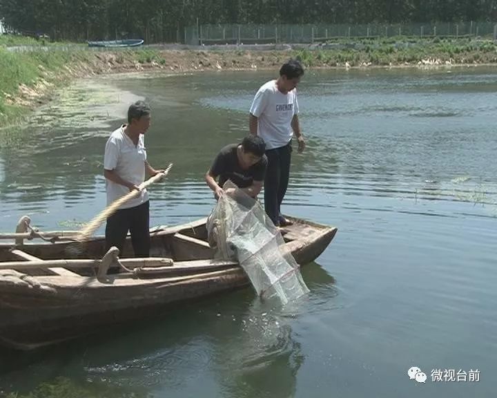 致富经龙虾养殖视频全集_致富经小龙虾_致富经小龙虾养殖技术