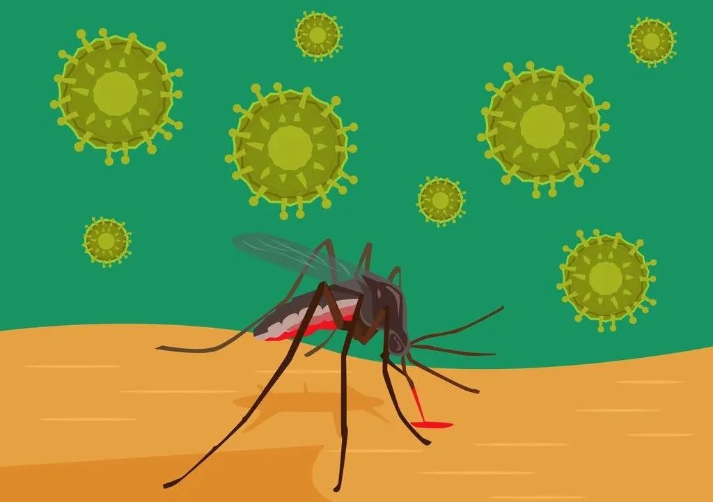 虽然现在还是春天,却已经有好多蚊子出来叮人了,这是为什么呢?