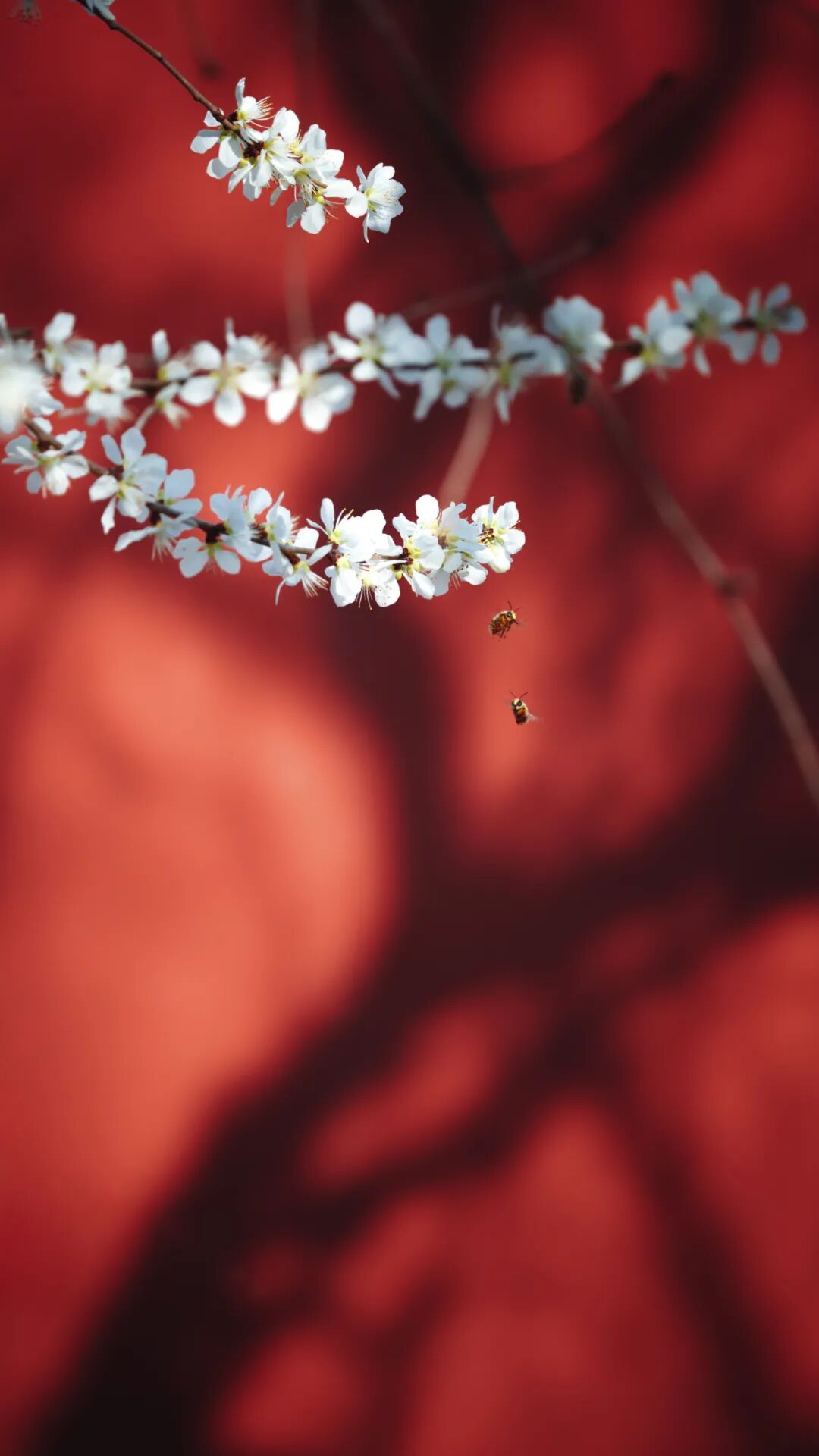 在故宫当摄影师,是一种什么的体验? - 摄影世界 - 瓦斯阅读