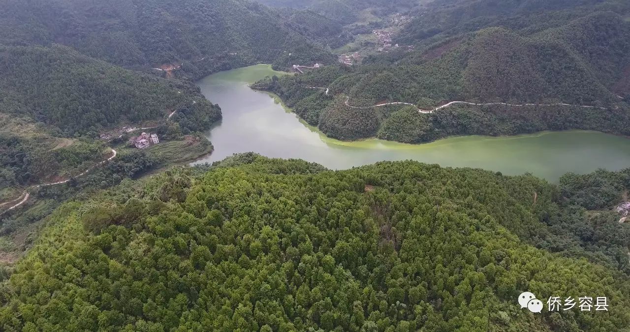 致富鱼卢鱼_致富鱼游出产业振兴路_致富经鱼