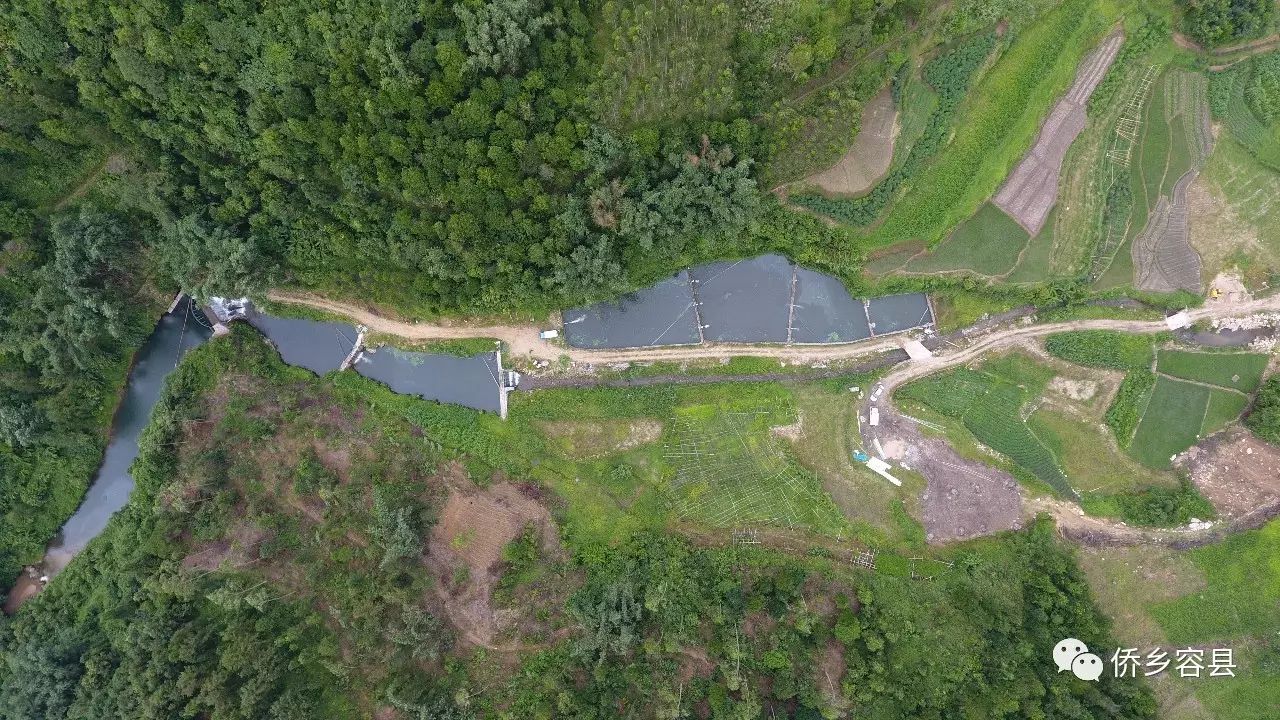 致富鱼游出产业振兴路_致富鱼卢鱼_致富经鱼