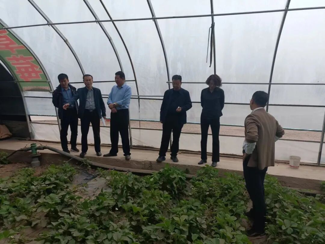 省委农办农村集体产权制度改革验收组赴金川区验收农村集体产权制度改革试点工作