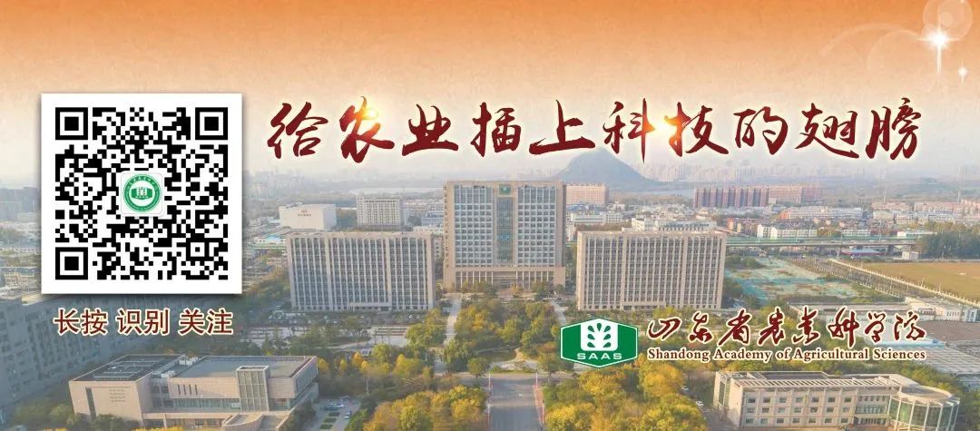 农业资讯 摘自农业信息网 及总结分析_农业科研进展_农业股票中涉及农业流转