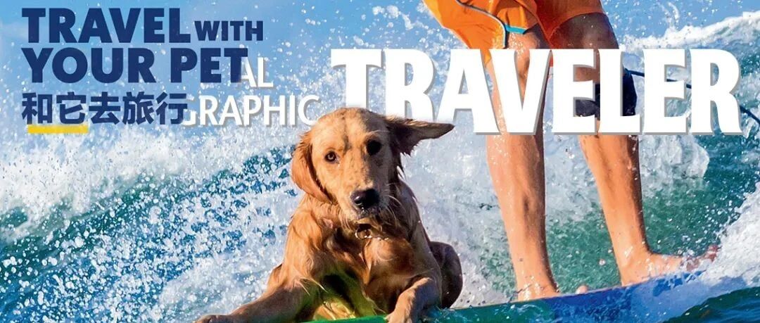 狗子们的专属度假村，谁慕了？