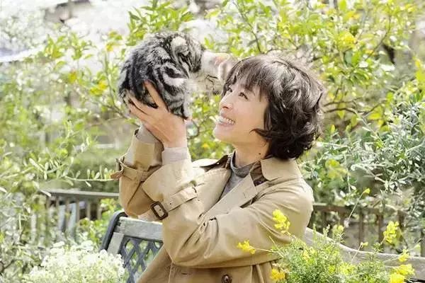 新年旅行心願定好了嗎？你的年終獎都給你安排上了！ 旅遊 第15張