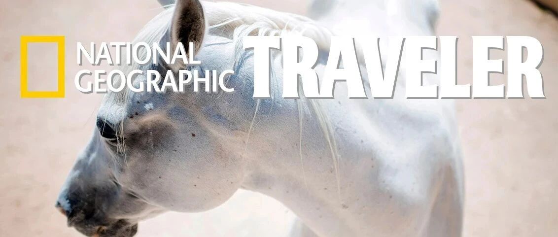 怎么可以吃小马？小马那么可爱！