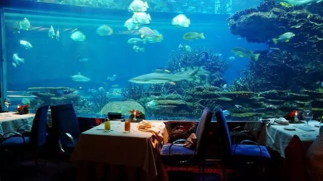 帆船酒店住一晚要多少人民币_帆船酒店里面_帆船酒店一晚上多少钱