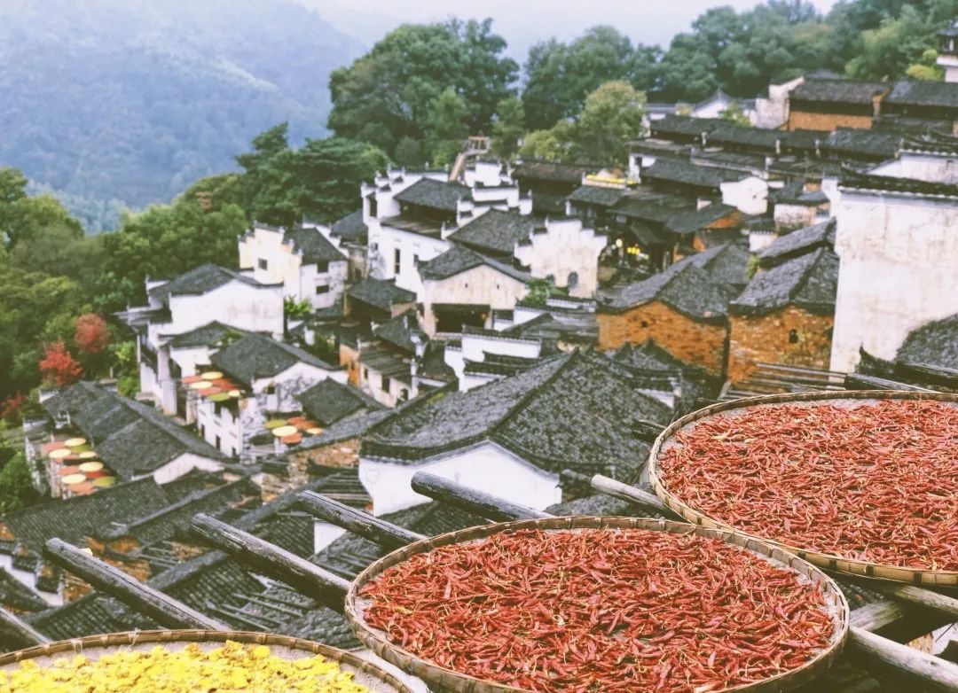 太想去這裡過幾天神仙日子了 旅遊 第13張