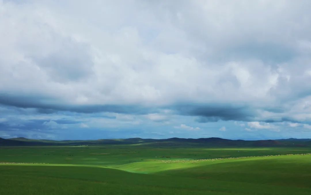 又被草原歌曲洗腦了？快跑！ 旅遊 第13張