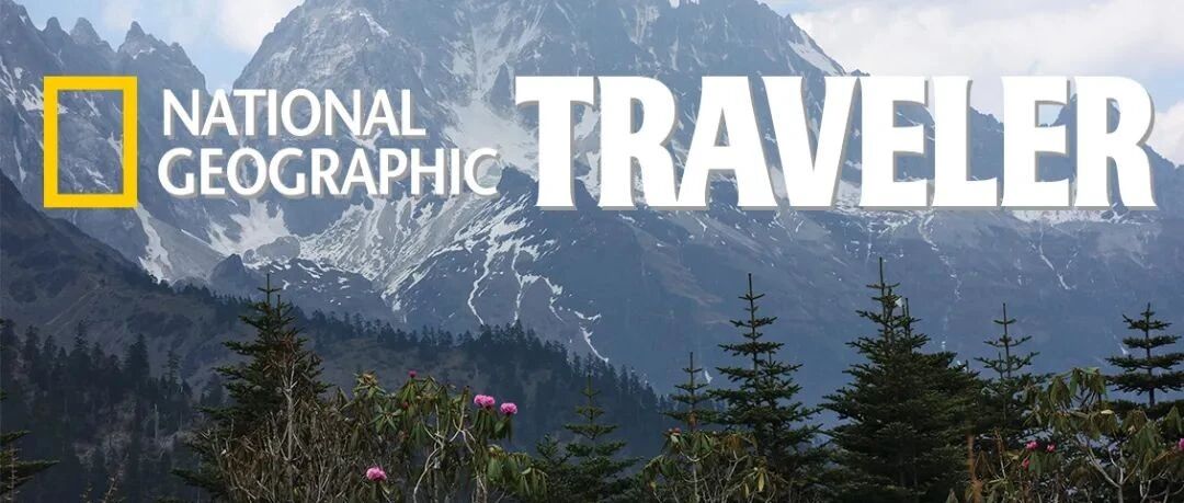 在大理，我找到了真正的森林