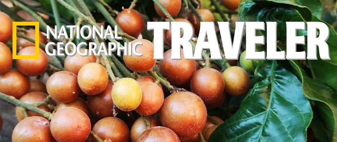 在海南，奶茶根本不是老盐的对手！