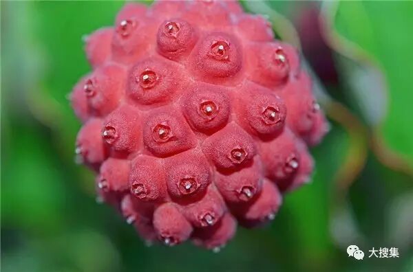 成语什么蔻年华_成语故事简笔画(3)