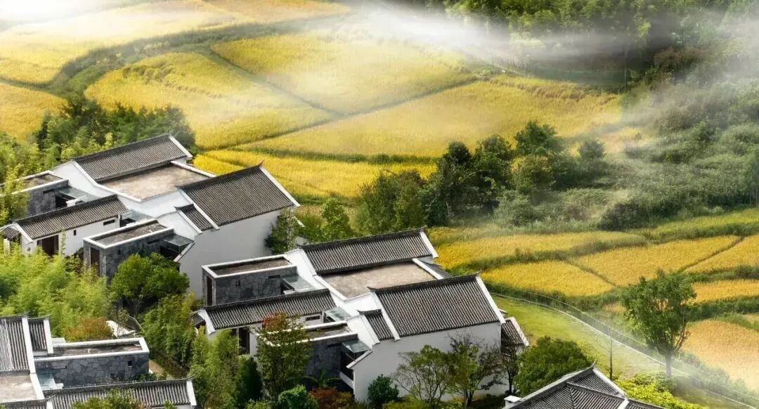 多地高星酒店券后低至224元 暑假不加价套餐有效期至9月底