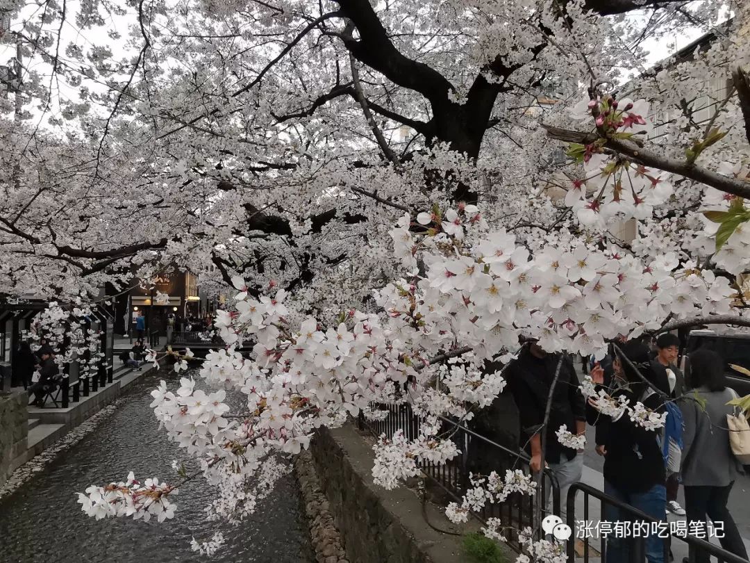 京都 緒方ogata 简单就是终极的复杂 涨停郁的吃喝笔记 微信公众号文章阅读 Wemp