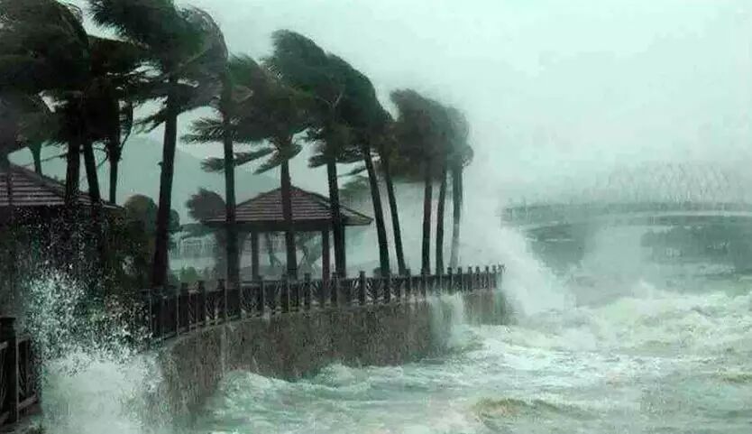 如果你住的是轻钢别墅，台风雨来了也不用怕！