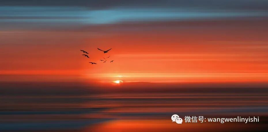 肋骨固定板怎么拆MatrixRIB最新固定方法：在粉碎性肋骨骨折手术中的应用_https://www.jmylbn.com_新闻资讯_第1张