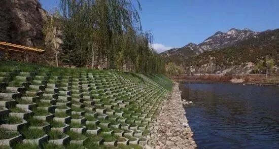 经典！12种生态护坡技术的图3