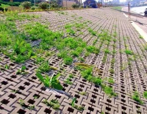 经典！12种生态护坡技术的图6