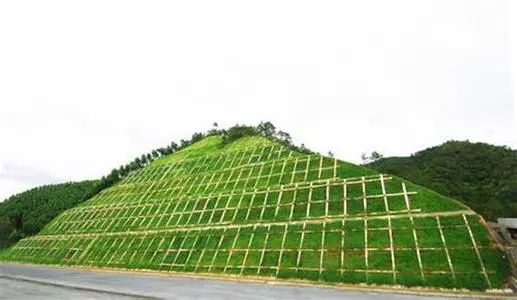 经典！12种生态护坡技术的图4