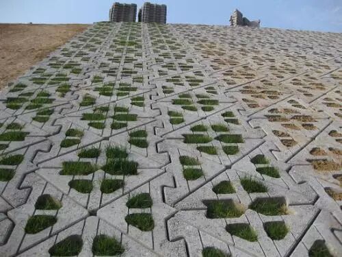 经典！12种生态护坡技术的图2