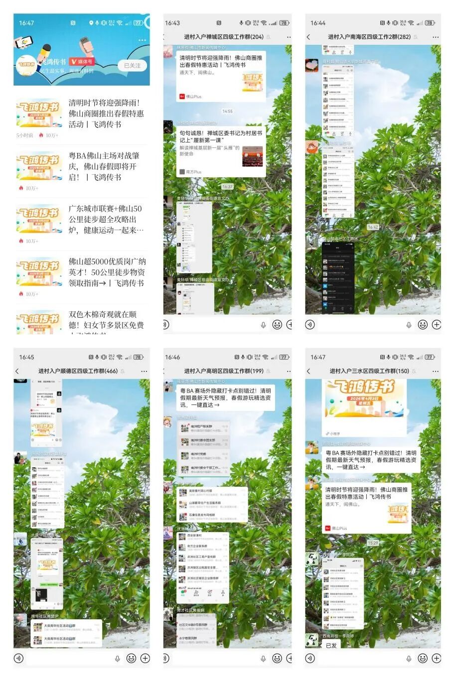每周一期《飞鸿传书》，通过五区四级工作群发送到全市所有792个村（社区）转推
