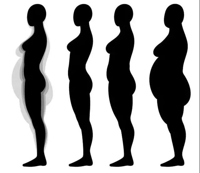 肥胖是身体发出的警告，哪里胖，哪里有问题！