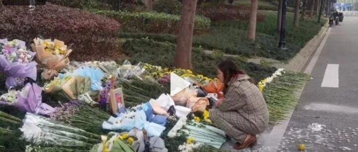 武汉坠楼女子事件：养狗没有错，缺德的是人