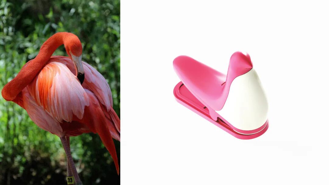 10个关于“鸟”的仿生设计的图18