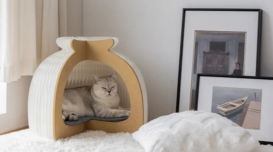 重新设计——猫窝的图20