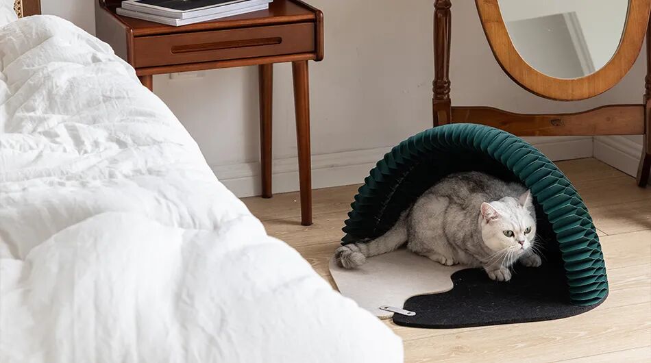 重新设计——猫窝的图17