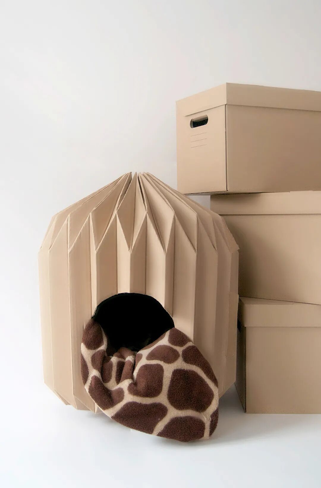 重新设计——猫窝的图37