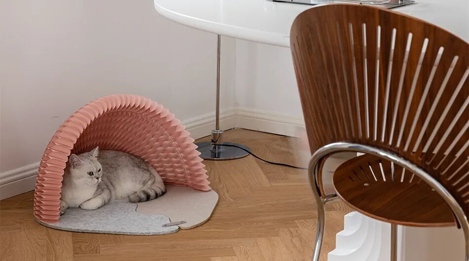 重新设计——猫窝的图16