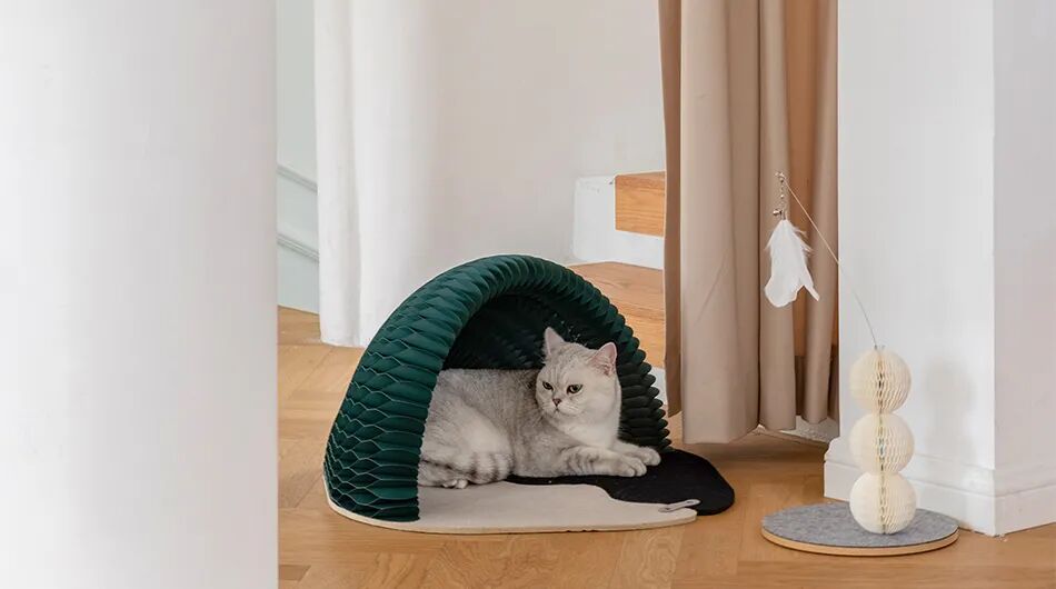 重新设计——猫窝的图19