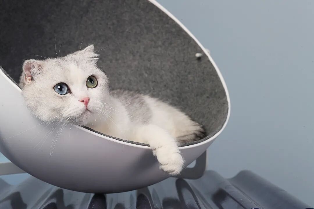 重新设计——猫窝的图59