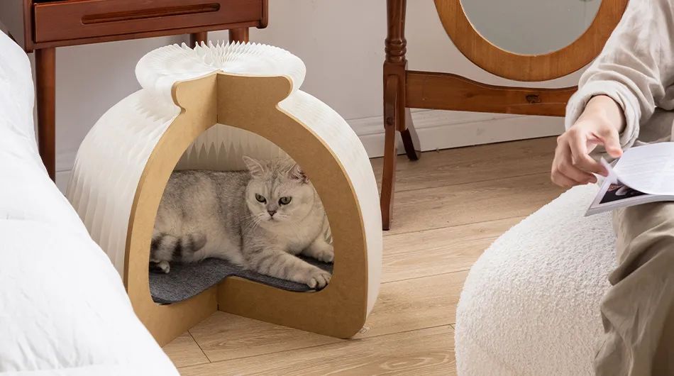 重新设计——猫窝的图23