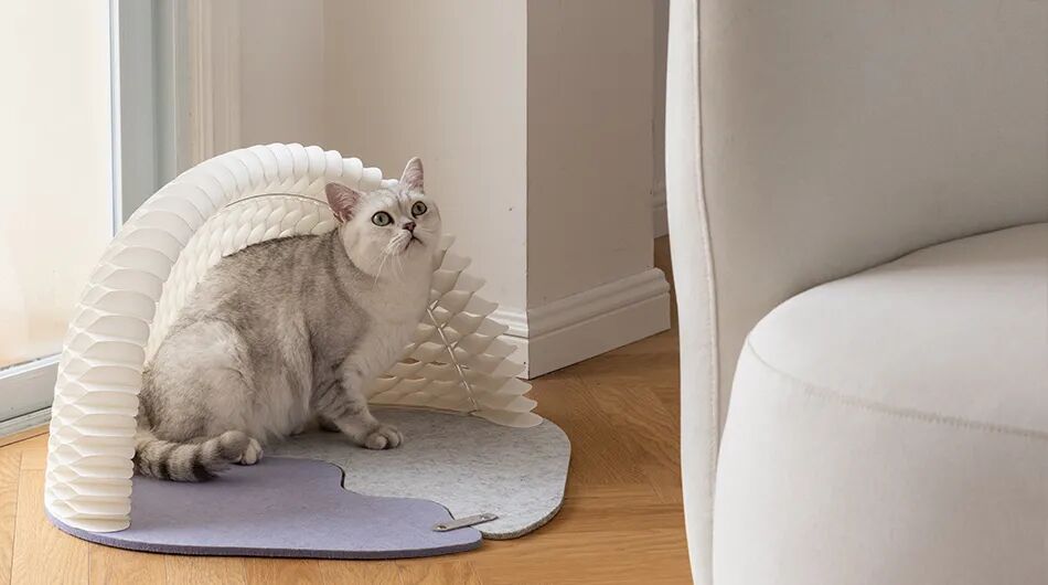 重新设计——猫窝的图18