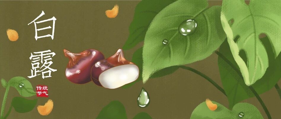 白露：降温啦！广东：我不听我不听