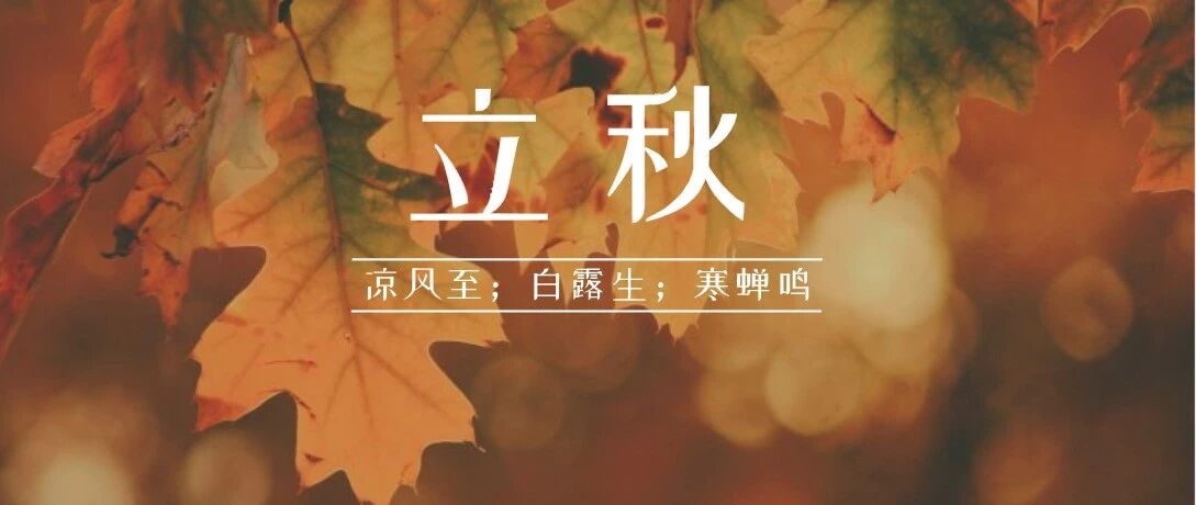 今日立秋？不好意思，广东的夏天还没过！还有更凶险的…