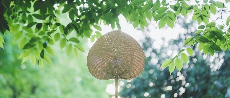 你知道夏季身体最怕什么吗？高温天气下这样吃更健康！