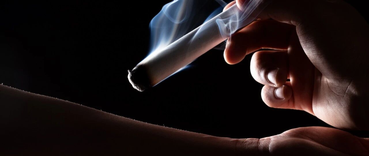 三伏天，是断病根的绝佳时机，用2元钱一包的它，赶走万病之源！