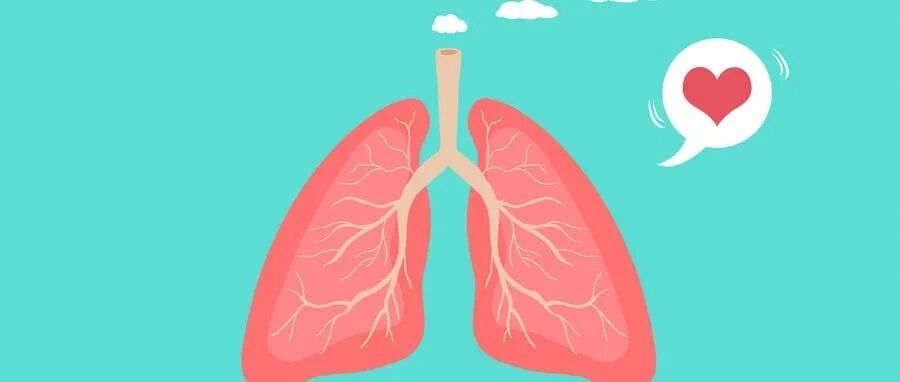 秋冬季肺炎多发，久咳不止试试这两味汤！