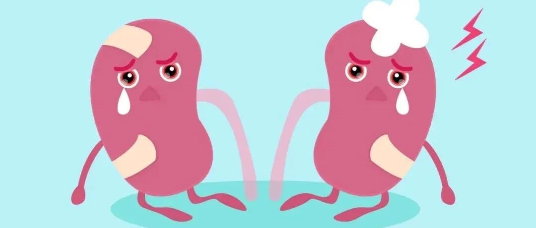 最伤肾的7种行为，再不改，肾易被伤透