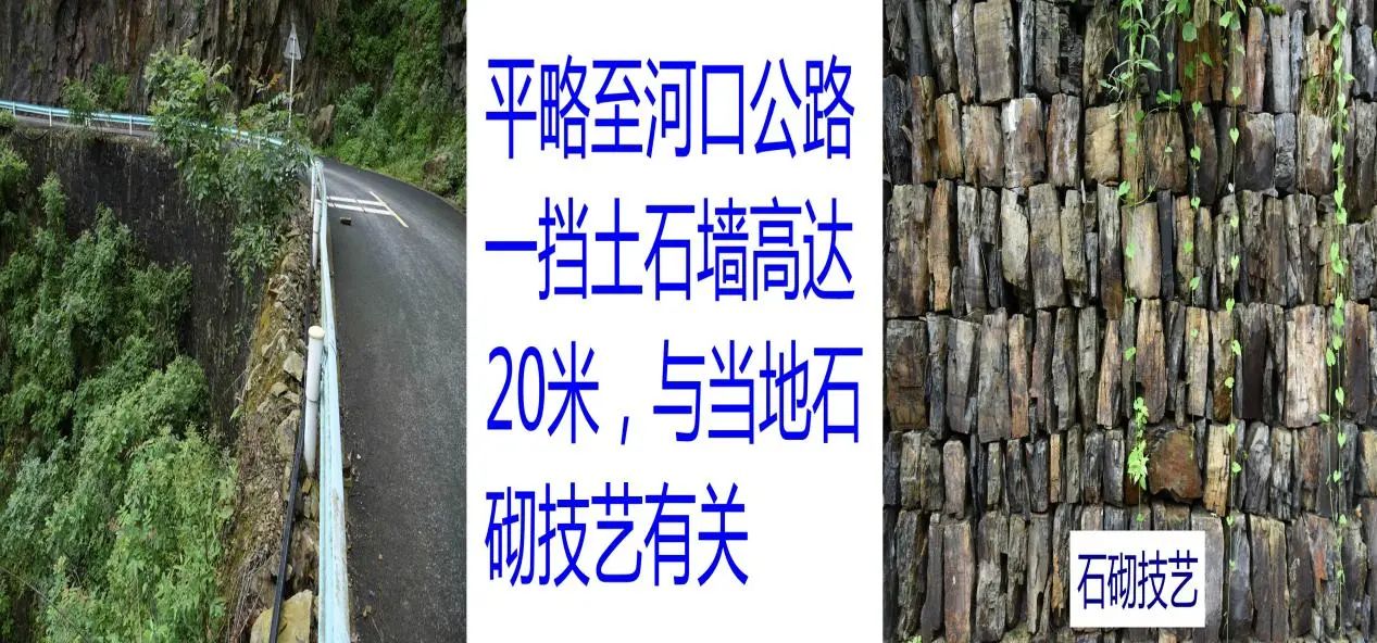 DSC_4404_副本_副本