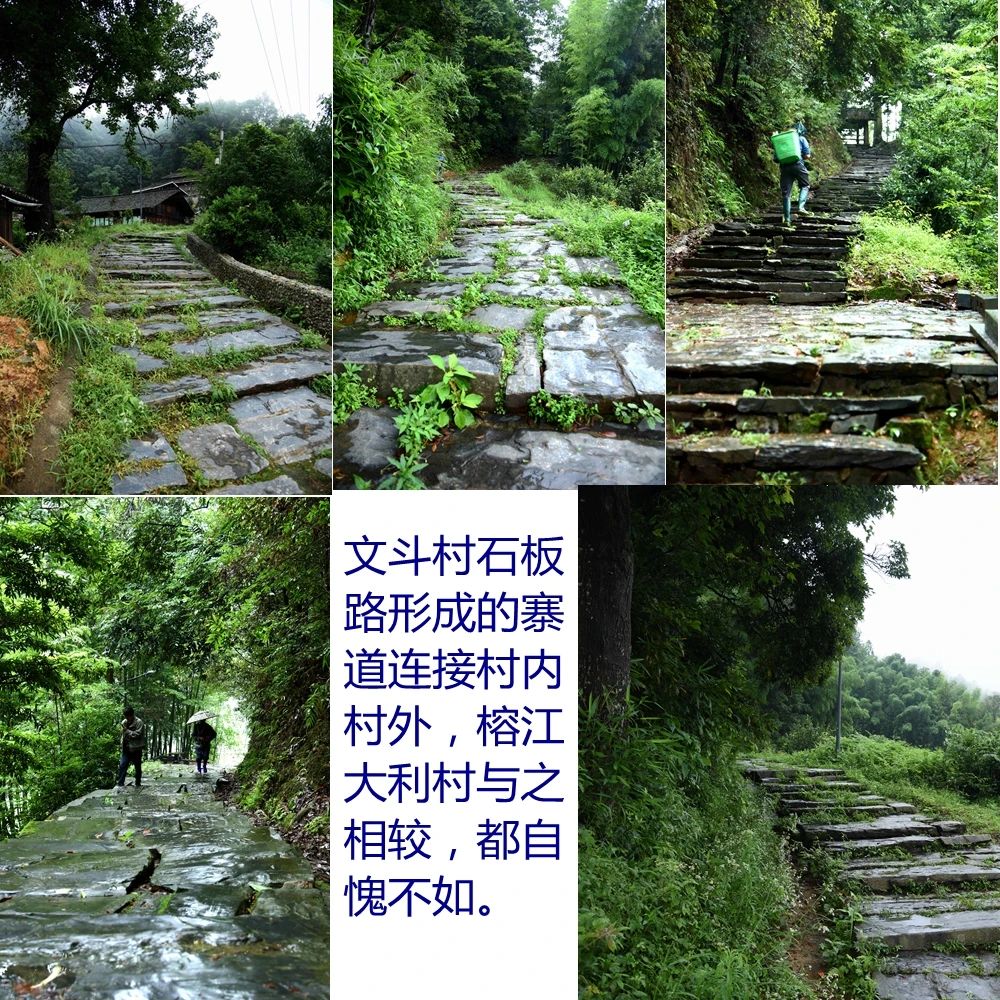 DSC_4313_副本_副本