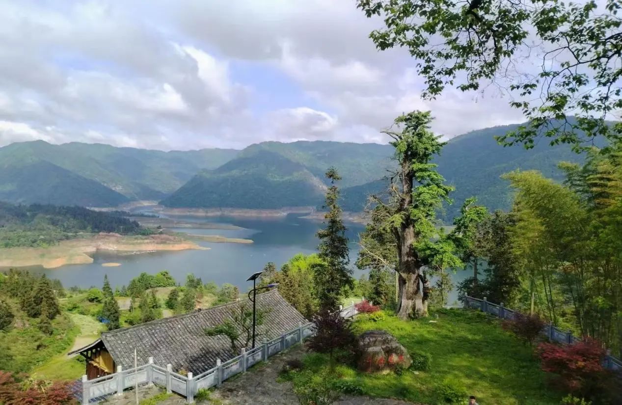 50828dcbca717947acac090396d5c49