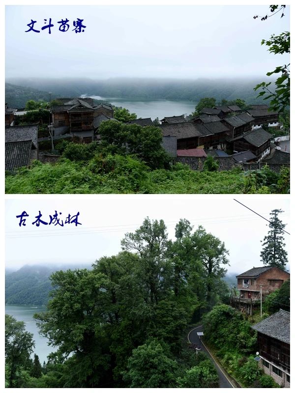 DSC_4312_副本_副本