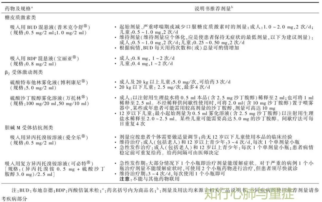 压缩气怎么雾化第85期 ‖ 雾化吸入 VS 气道湿化_https://www.jmylbn.com_新闻资讯_第5张