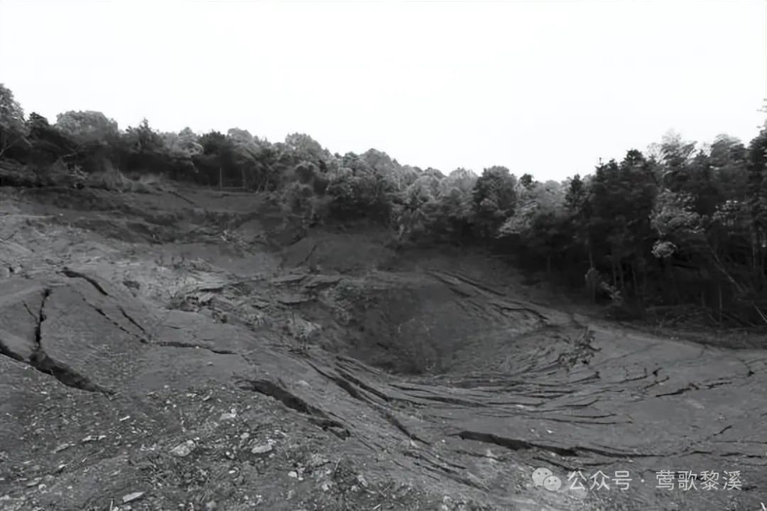 枣庄耕地开裂塌陷